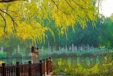 成人在线av视频-成人在线AV视频，网络时代的隐私与伦理边界