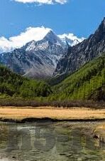 麻豆经济模特app-麻豆经济时代的网红摇篮，解析麻豆经济模特App的崛起与影响